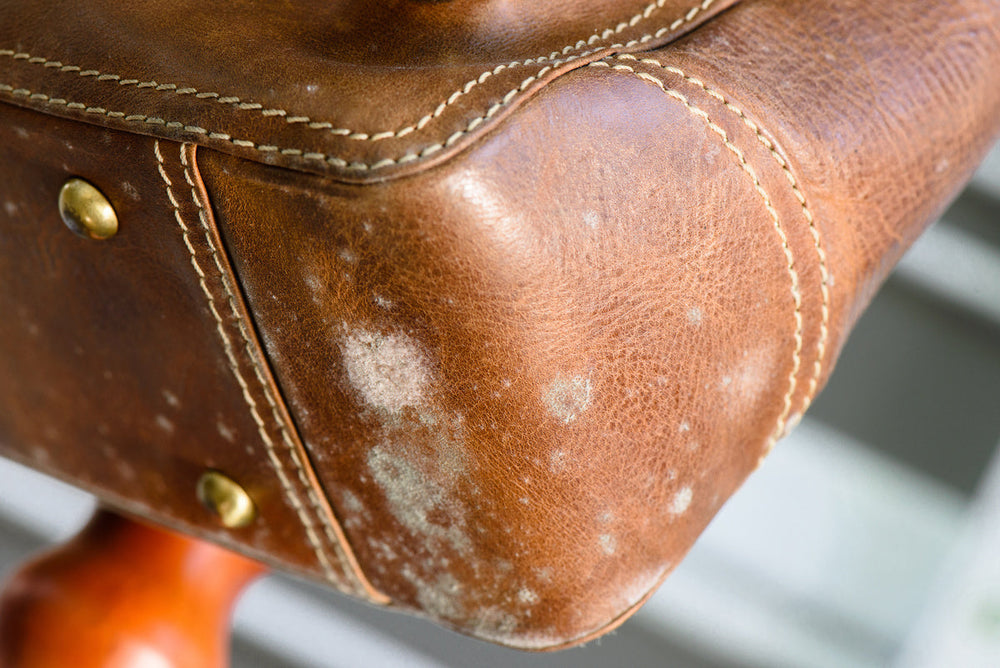 how to remove mold from leather bag